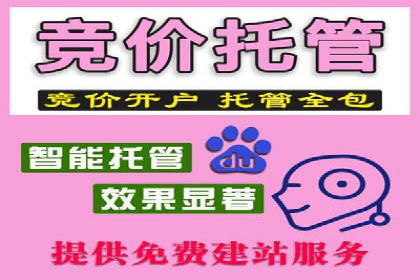竞价广告案例分析：品牌成功之道